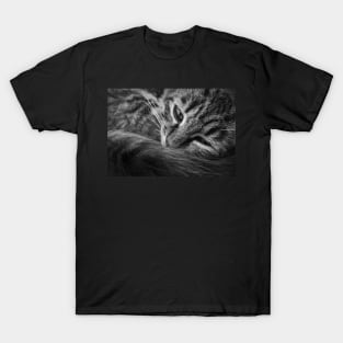 moody kitten b&w T-Shirt